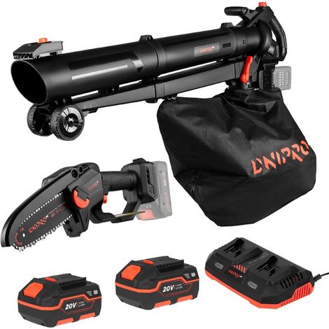 Promoción aniversario Dnipro-M: Kit aspirador de jardín y mini motosierra, 2 baterías de 4 Ah y cargador (1/5)