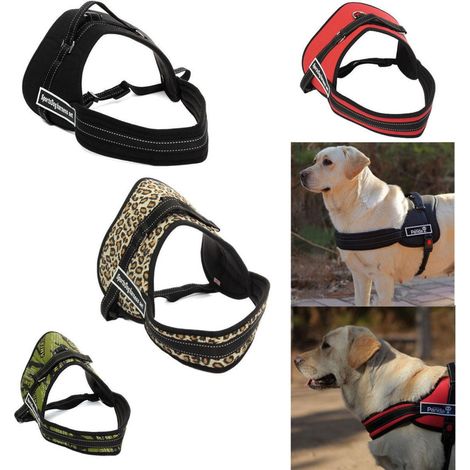 Harnais Chien Harnais Ceinture Harnais Chien Harnais Dressage Xxl (1/3)