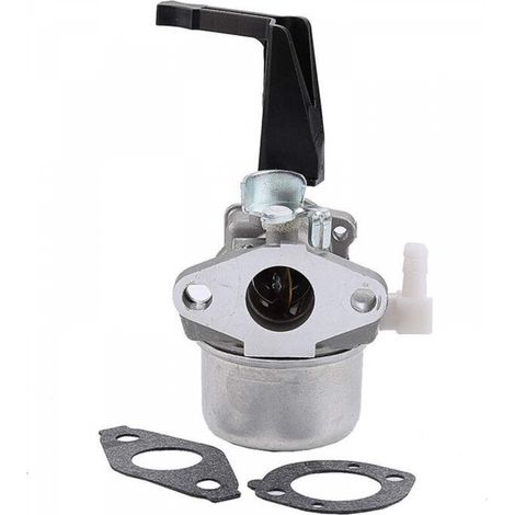 Carburateur 696065 compatible avec Briggs & Stratton 696065 697422 110402-0206-E1 (1/5)
