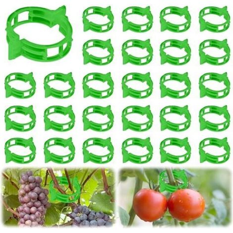 Lot of 200 green plastic tomato clips for climbing plants and stakes. (1/5)