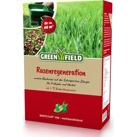 Greenfield Rasenregeneration 2 kg Grasseman Rasensamen Nachsaat Sportrasen (1/2)