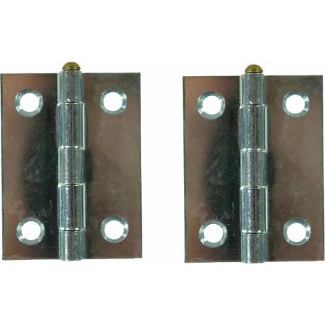 2x charnière plate acier argenté 25x25 avec axe en laiton doré porte portail volet bois meuble à visser