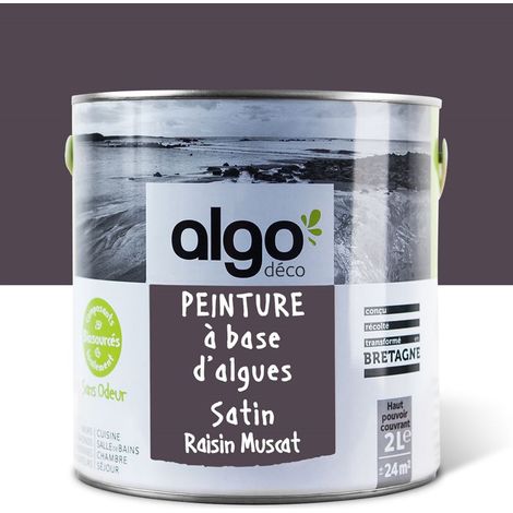 Peinture écologique Algo - Satin - Violet Raisin Muscat - 2L (1/5)