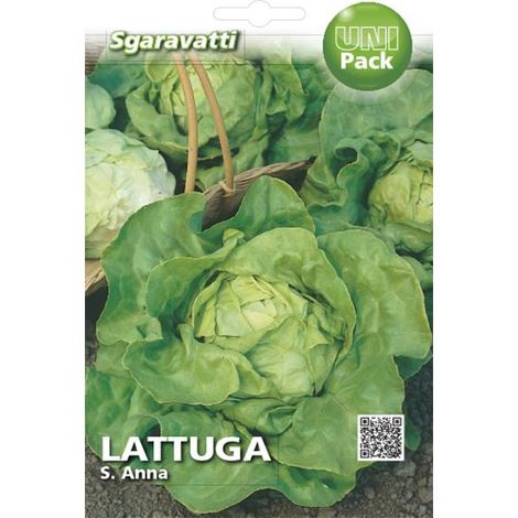 Semi per Ortaggi e Vegetali Lattuga S. Anna Sgaravatti 20 Pezzi