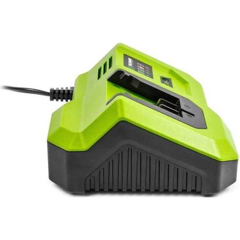 Fieldmann Cargador rápido 20 9V compatible con baterías 2Ah 4Ah 8Ah (1/3)