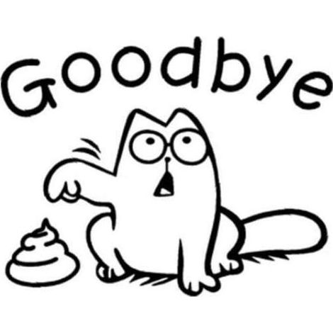 Wall sticker toilet "Goodbye", toilet cat sticker for washing, bathroom decoration, toilet seat (1/5)
