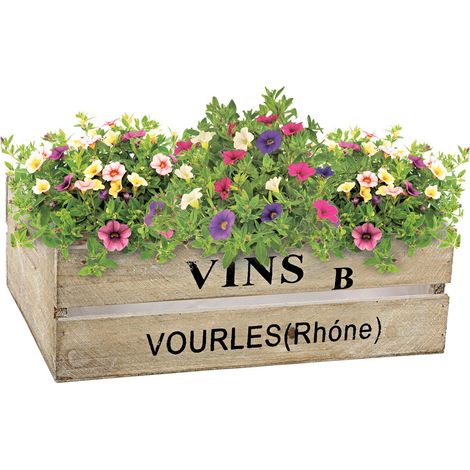 Deko Holzkisten-Set Blumenkasten Pflanzkasten Obstkisten Gemüsekiste Weinkisten Aufbewahrungskiste Pflanztopf Blumentopf Dekokisten Vintage Used look Kisten