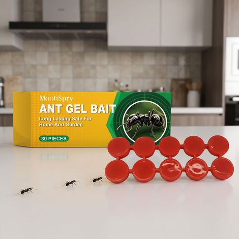Ant bait box with gentle ingredients, pet-friendly, suitable for indoor and outdoor use in patios and gardens for ant control -- 30 pieces -- BIEMMEDUE (1/5)