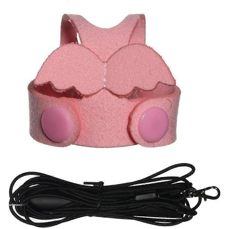 Harnais de vol anti-morsure pour perroquets, combinaison de vol avec laisse et accessoires de dressage pour perruches ondulées et calopsittes. (1/5)