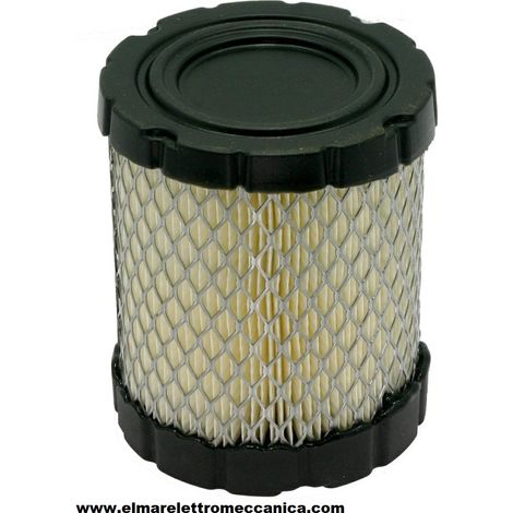 BRIGGS & STRATTON Filtro aria serie Turf 27 e 30 HP bicilindrici verticali. Misure 101x50x121 mm  310241