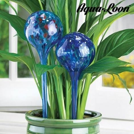 Aqua Globes - Globe - Lot de 2 - Arrosage automatique - Couleur bleue - Arrosage des plantes d'intérieur (1/2)