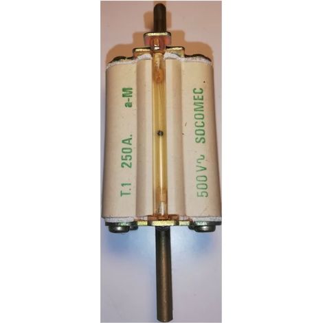 Cartucho de cuchilla Socomec - tipo aM - tamaño 1 - 250 A - 500 V