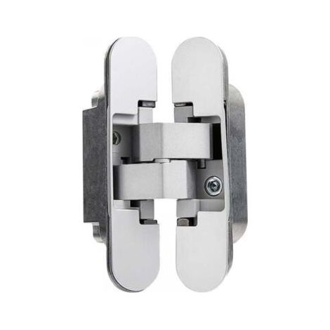 Lot de 2 Charnières invisibles pour portes - Pour portes lourdes - Charge de 40 kg - Ouverture de 180º - Zamak