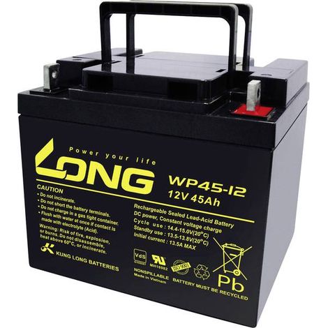 Long WP45-12 Batteria al piombo 45 Ah 12 V nera