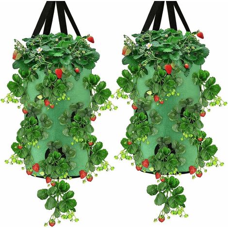 Sac de Culture aux Fraises Triomphe,Lot de 2 Sacs de Culture de Plantes de 3 gallons Sac de Culture Respirant avec poignées Jardinières en Tissu Pots Sacs de Plantation de Jardin Pot（vert） (1/5)