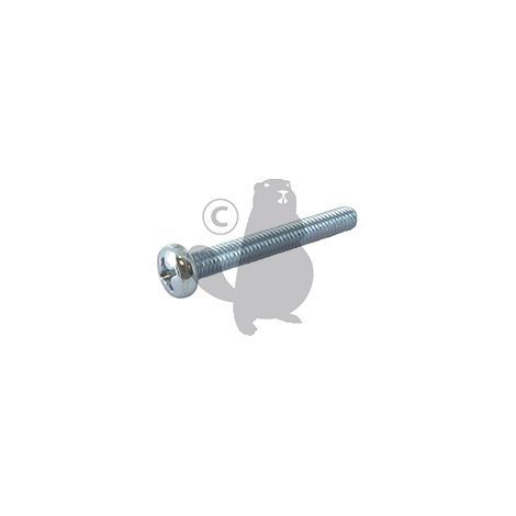 Vis Tête Cruxiforme M6 X 45mm Origine Stiga.
