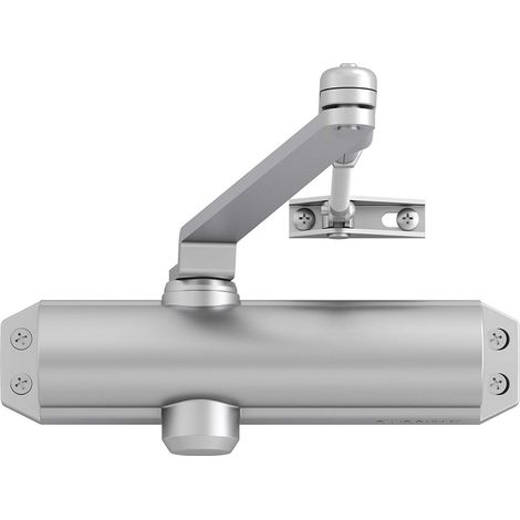 Tesa Assa Abloy 3012495 Cierrapuertas sin Retenedor, Plata, unico