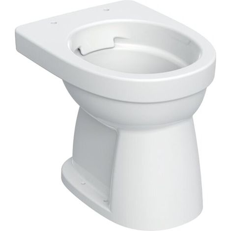 Geberit 501985008 WC sur pied Renova, chasse plate (1/5)