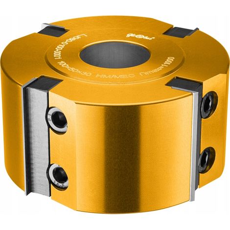 Globus-Hobelkopf 100x40x4Z H50 (1/4)