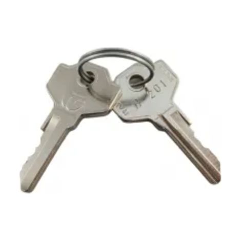 FAAC 713021 Coppia Chiavi Cifrate 201 Per Motore 770 N 770N Ricambio