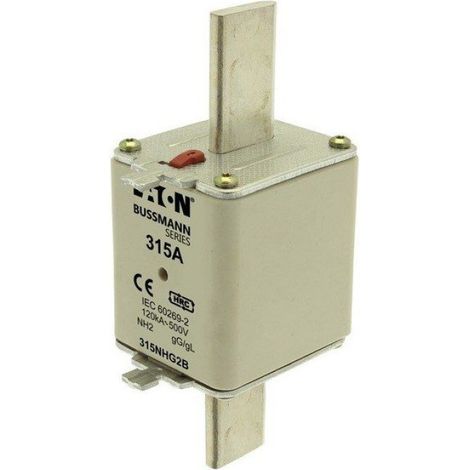 Fusible, BT, 315 A, CA 500 V, NH2, gL/gG, IEC, double indicateur