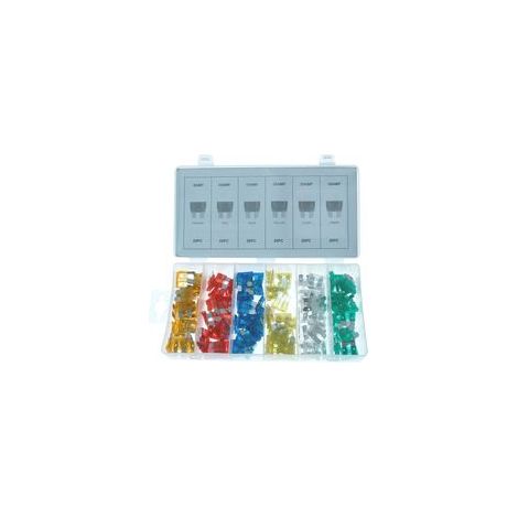 Coffret 120 PCS Fusibles de 5 à 30 A - 833013 - Beast (1/2)