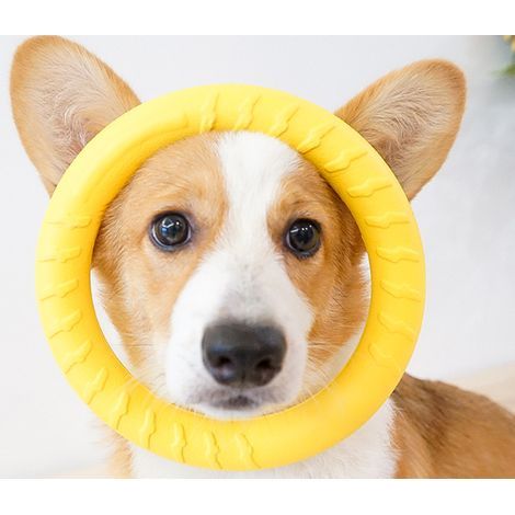 Anneau de fitness pour grands chiens, anneau de morsure pour chiens A (1/5)