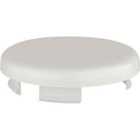 Ricambio calotta per asta doccia 28620 Grohe 45652L00