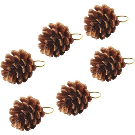 Décorations de Noël Marron 6pcs en Pommes de Pin Naturelles Légères et Résistantes, pour ou Décorer Votre Sapin de Noël Votre Table (1/5)