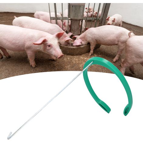 Kits d'insémination artificielle pour porcs - Clamp adaptable et cadre en acier inoxydable pour une conception naturelle et facilitée (1/5)