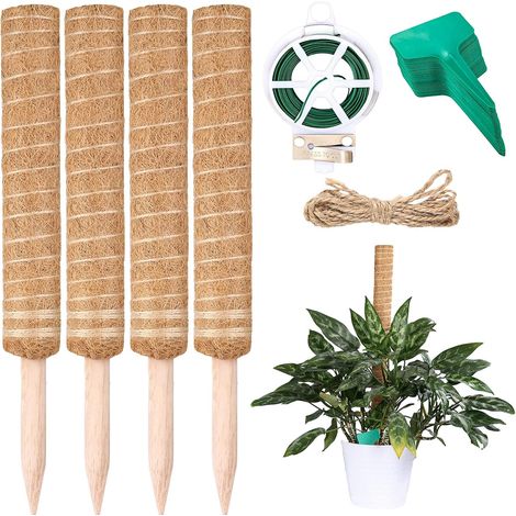 estacas para plantas trepadoras de 40 cm, estacas para plantas Coco Garden, estacas para monstera, con etiquetas de bambú para plantas de exterior x50 y lazos de jardín x 20 m. (1/5)