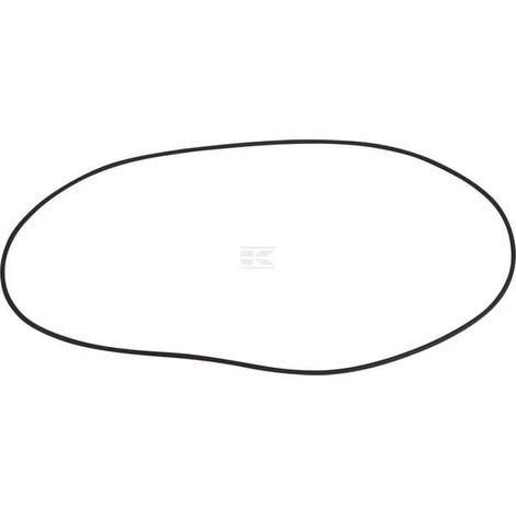 Anello SPICER DANA 001052945