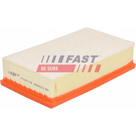 Filtro aria FT37175 rapido (1/2)