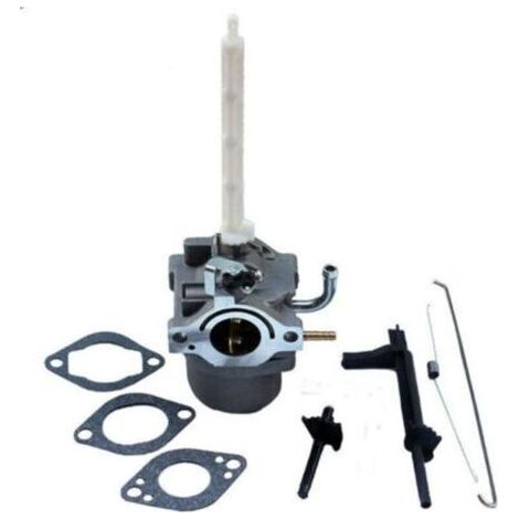 DOLASO Vergaser für Briggs & Stratton 796122 794593 20A (1/5)