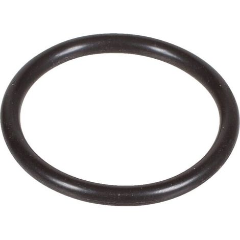 Dichtring 29,2x3 VICON VN17883486