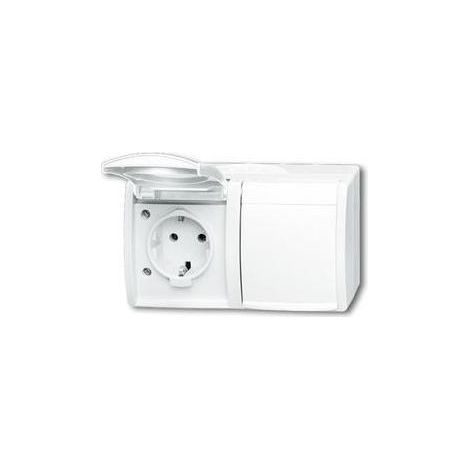 Busch-Jaeger Schuko-Steckdose 2f. mit Klappdeckel 20/2 EW-54 (1/5)