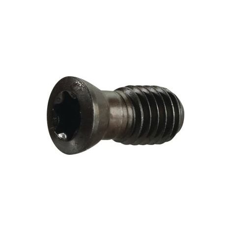Spannschraube US 4511 Gr.T20 f.SEKT/SEET 1204 z.Planfräser TECWERK (1/2)