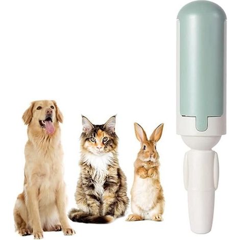 (Vert)Brosse Anti Poils - Non spécifié - Réutilisable - Vert - Silicone - Pour Chien (1/4)