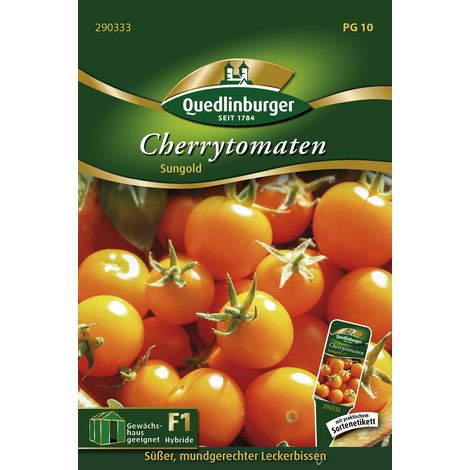 Quedlinburger Cherrytomaten Sungold - Gemüsesamen (1/2)