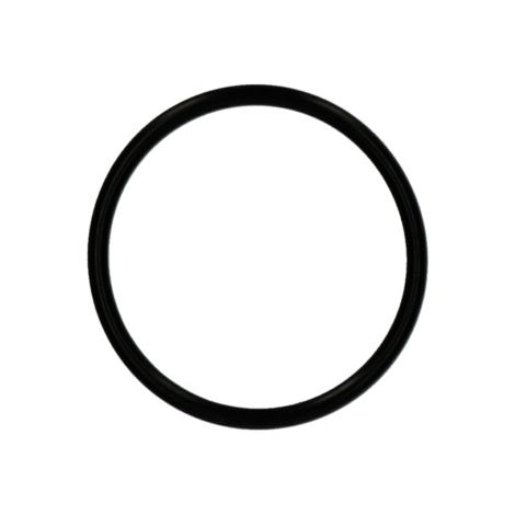 Ersatzteil O-Ring 43 x 3