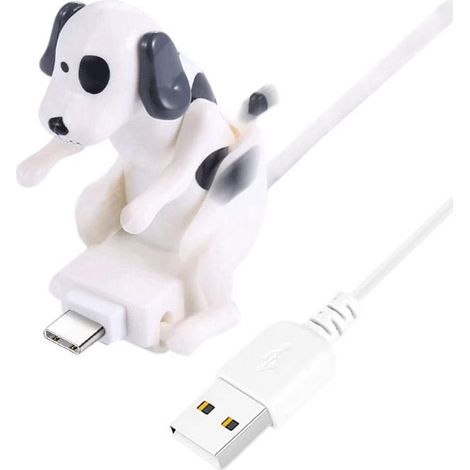 Câble de charge rapide USB Type-C pour smartphone, motif chien rigolo en train de s'accoupler, 1,2 m, blanc.