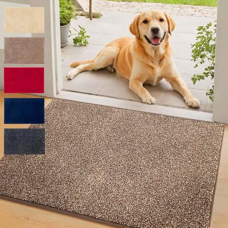Tapis d'entrée absorbant Nasa Marron 137 x 210 cm
