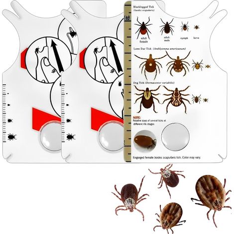 Ensemble de 3 lingettes anti-tiques pour hommes, chiens, chats et enfants, avec loupe outil pour retirer rapidement et en toute sécurité les tiques des humains et des animaux domestiques. (1/5)