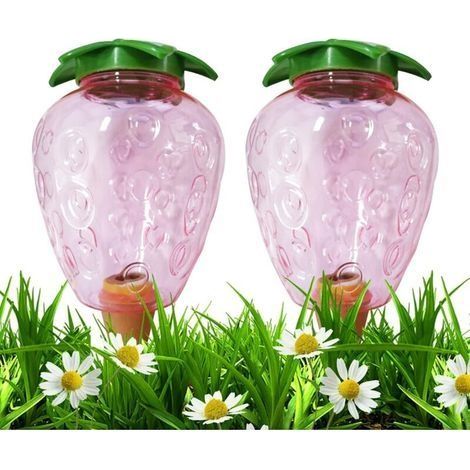 2 Stück Kegelförmige Gießflaschen 500 ml, Tonkugeln für Zimmerpflanzen, Automatische Bewässerungssysteme für Pflanztöpfe, Wasserspender für Pflanzen, Bewässerungszeiten, Transparente Kugeln (Erdbeere) (1/4)