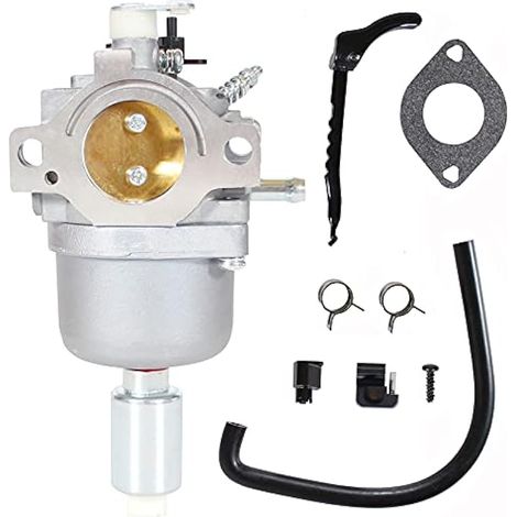 Compatible avec carburateur 792036 pour tondeuse Briggs Stratton Nikki 795365 795366 792768 Works Poulan Pro Craftsman (1/4)