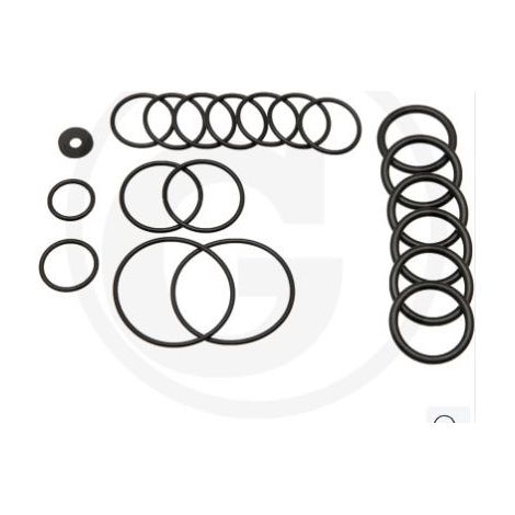 O-Ring-Kit für Membranpumpe AR115 ANNOVI 6702026