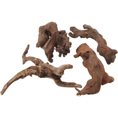 Bois flotté naturel pour aquarium, décoration de terrarium et aquascaping