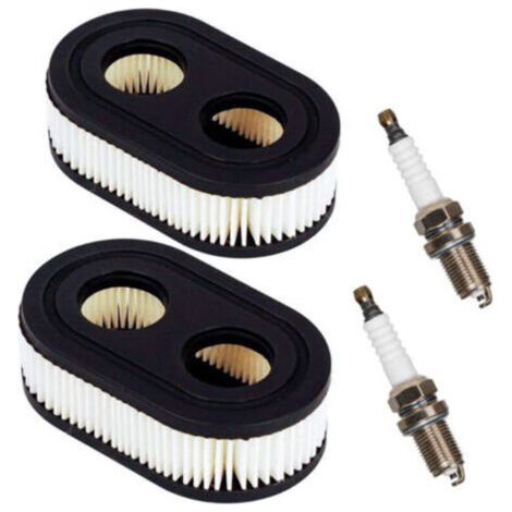 Filtro olio o aria per motore a combustione interna. Ricambi motore. Filtro aria per tosaerba con 2 candele.