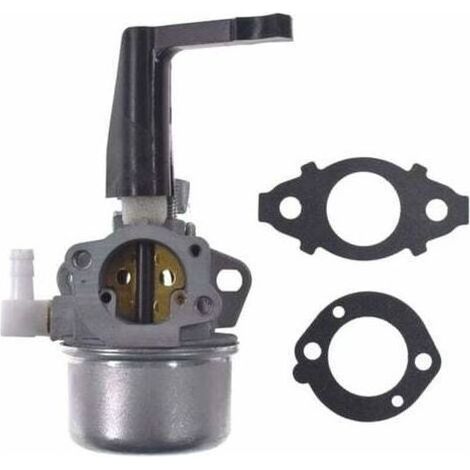 pair Aiperq 696065 Carburateur de remplacement avec kit de joint pour Briggs & Stratton (1/4)