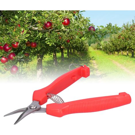 Obst- und Gemüseschere zum Beschneiden von Pflanzen, Obst und Gemüse (1/5)